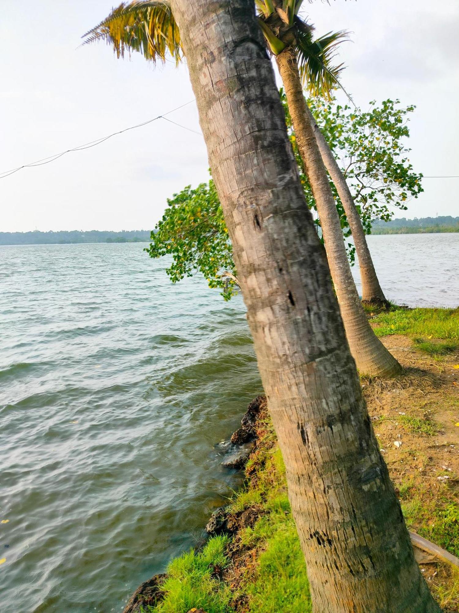 Munroe Inn Homestay Kollam Buitenkant foto